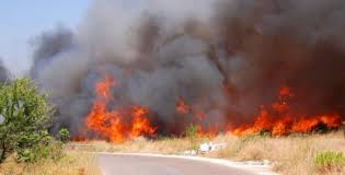 Dichiarazione dello stato di grave pericolosità per gli incendi boschivi nell’anno 2022 disposta con DPGR n. 177 del 4 maggio 2022